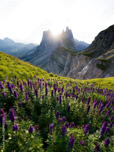 Beautiful rugged Seceda mountain range at sunrise in South Tyrol, Italy