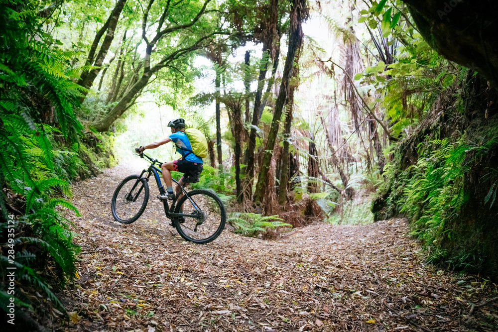 A woman is mountain biking on the Great Lake Trail, Lake Taupo, Waikato, New Zealand A woman is mountain biking on the Great Lake Trail, Lake Taupo, Waikato, New Zealand