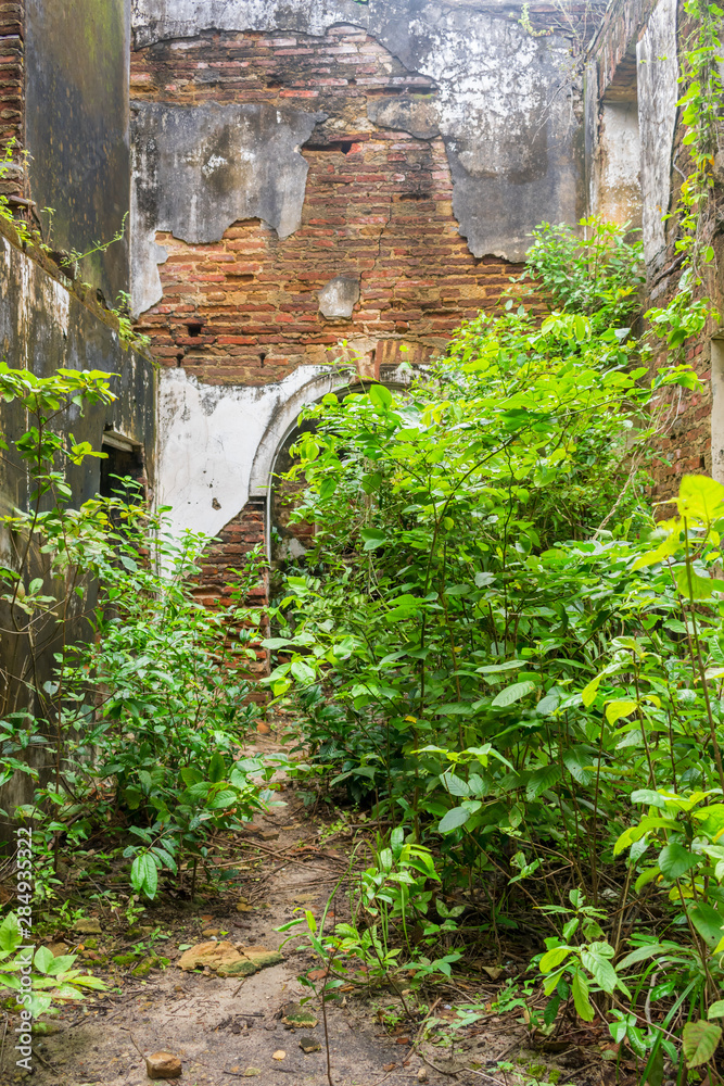 View of the inside of Father Tenorio's house - historic building from the XIX century completely abandoned and taken over by the forest on Itamaraca island, Brazil