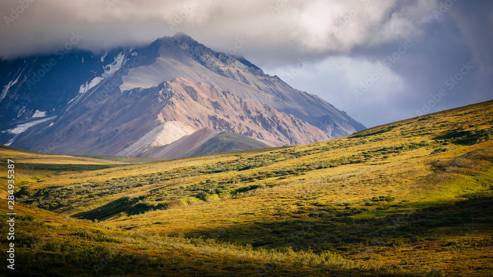 Denali National Park landscape near Sable Pass, Alaska, USA Denali National Park landscape near Sable Pass, Alaska, USA