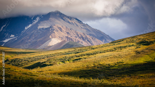 Denali National Park landscape near Sable Pass, Alaska, USA photo