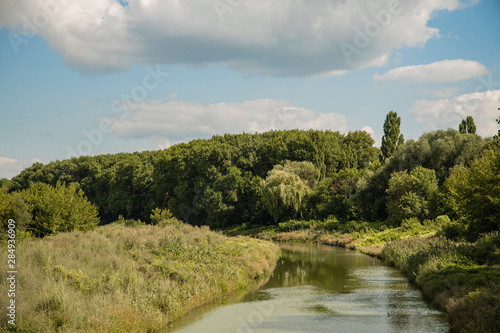 pollution nature concept photography of dirty green river along park scenic environment in Eastern Europe 