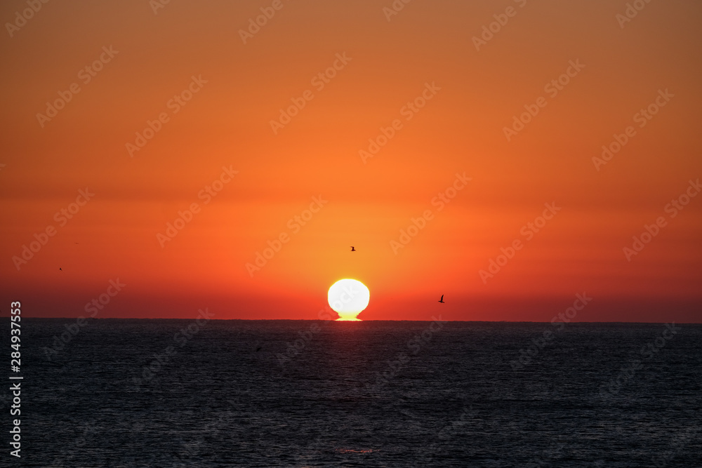 Sunrise over the ocean with an orange sky and some birds