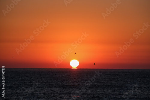 Fototapeta Naklejka Na Ścianę i Meble -  Sunrise over the ocean with an orange sky and some birds