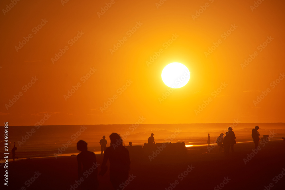 silhouette of people on the beach