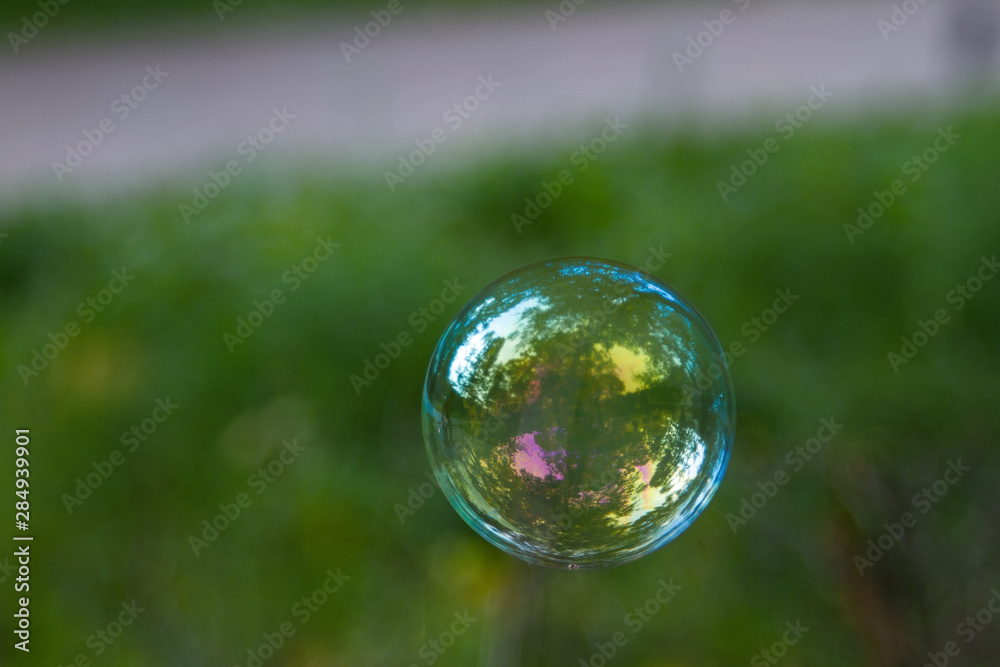 Composition with soap bubble with reflection of trees in the air on a green background Composition with soap bubble with reflection of trees in the air on a green background