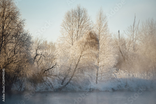 Frosted tree branches on a frosty winter morning in the fog. "Lebedinyj" Swan Nature Reserve, "Svetloye" lake, Urozhaynoye Village, Sovetsky District, Altai region, Russia