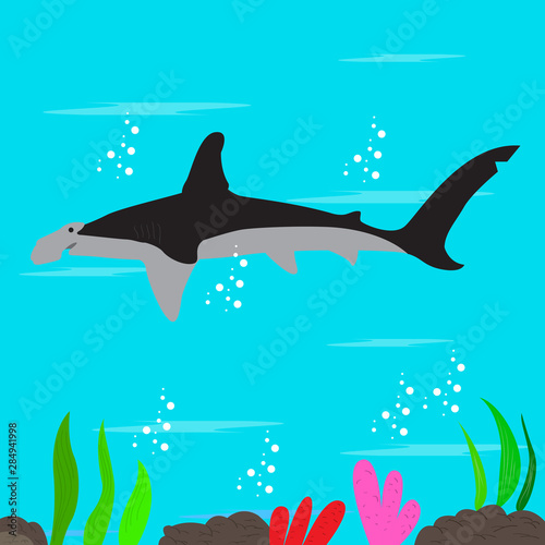 Hammerhead shark in the ocean botton - Vector