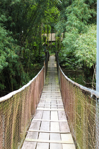 Fototapeta Naklejka Na Ścianę i Meble -  bridge in forest