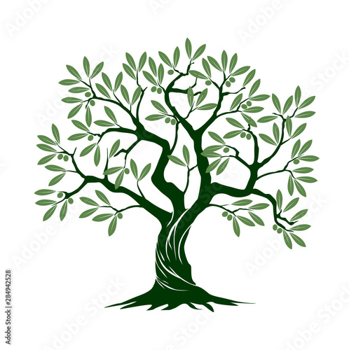 Olive tree on white background. Vector Illustration and concept pictogram. photo
