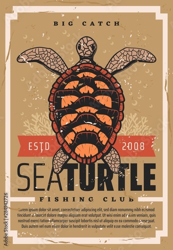 Sea turtle fishing club, seafood fisher big catch