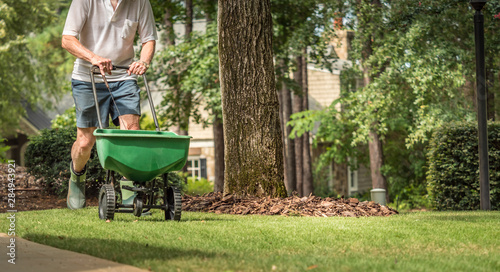 Man seeding and fertilizing residential backyard lawn with manual grass seed spreader.