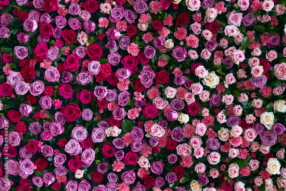 Plakat pared de flores, rosas, colores