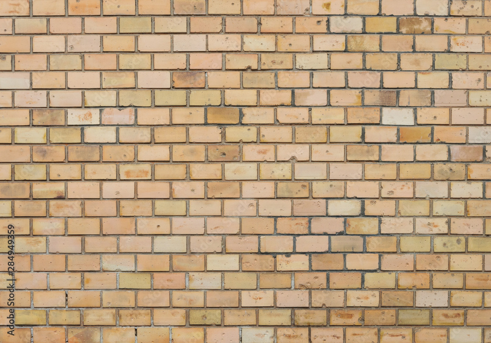 Fototapeta premium Brick wall texture