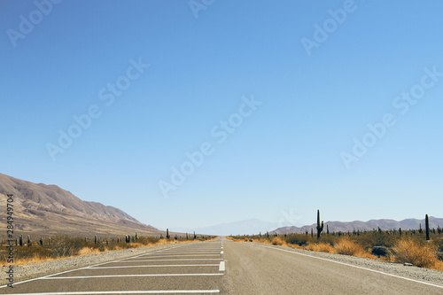 ruta infinita argentina recta perspectiva