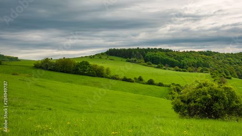 View of a wavy landscape with forest and hill in the background and cloudy sky.