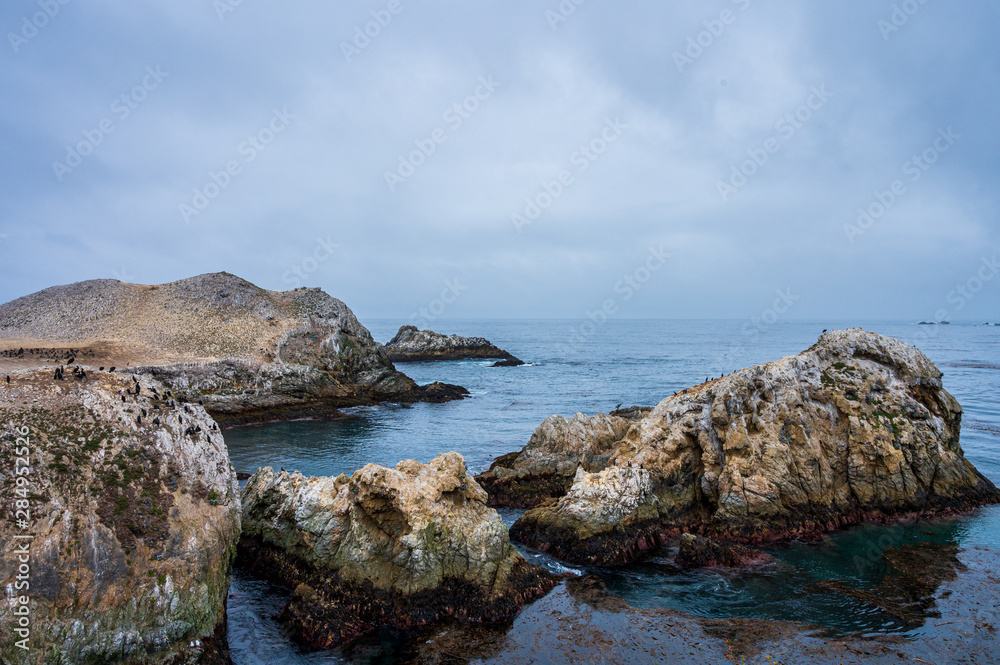 Rocks in the Pacific ocean off the coast of Point Lobos State Natural Reserve.