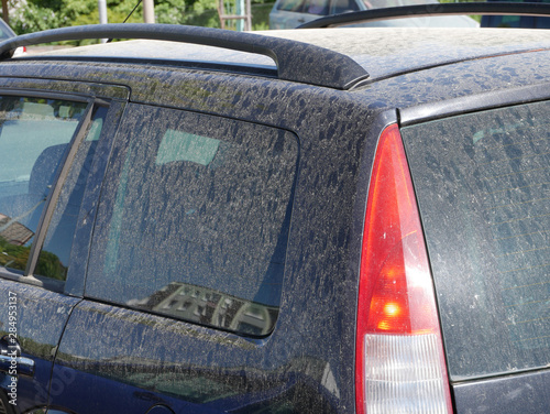 Pollen and fine dust on a car in the spring.