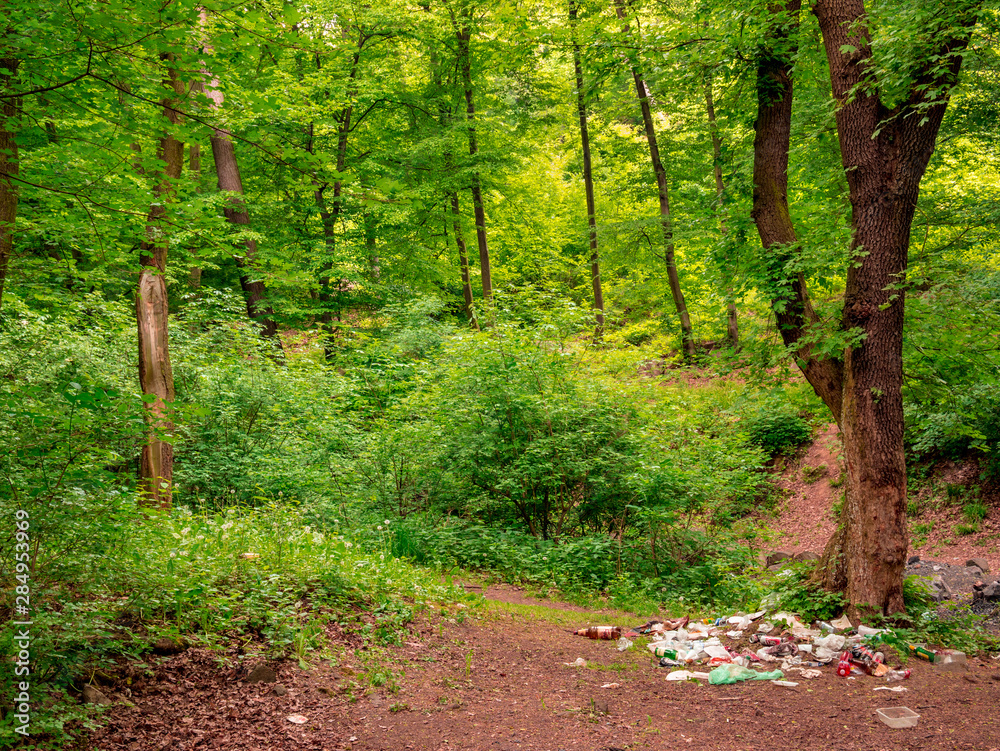 Obraz premium Illegal garbage dump in forest