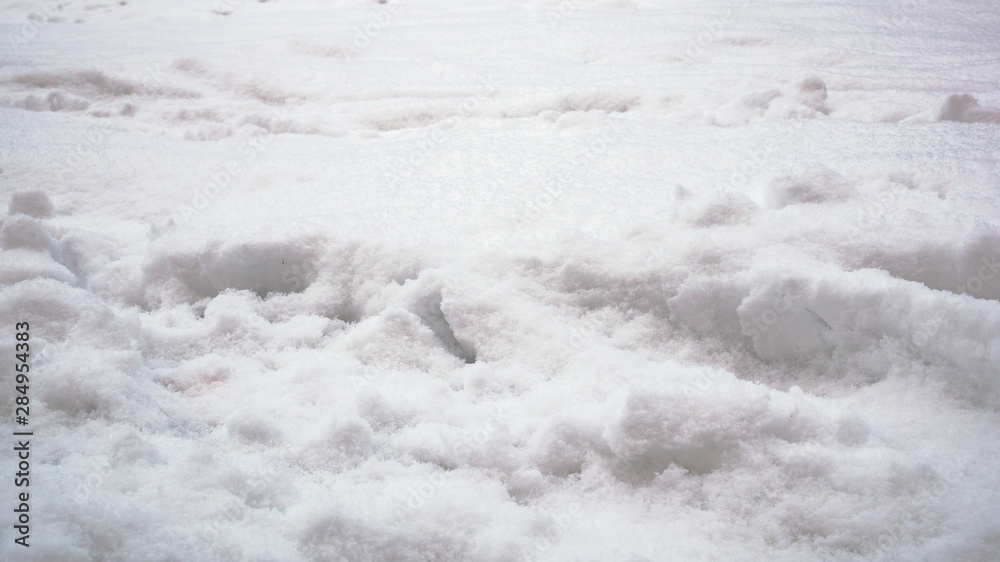 Degraded footprints in deep snow Degraded footprints in deep snow