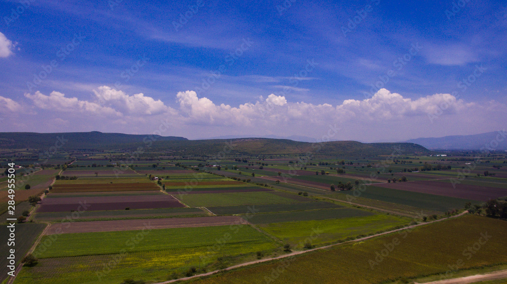 Aerial picture of plantation fields with blue sky and white clouds at the cuntryside