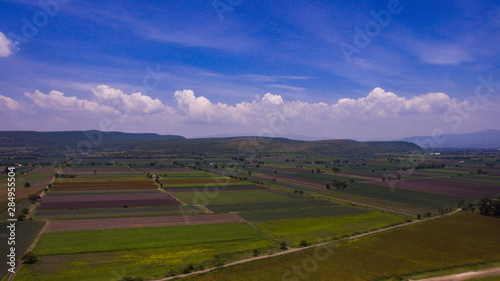 Aerial picture of plantation fields with blue sky and white clouds at the cuntryside