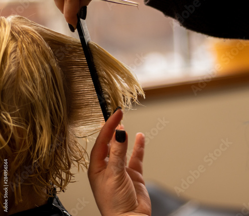Professional hair stylist cutting blonde hair in a salon