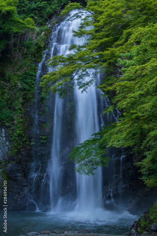 Fototapeta premium Refreshing Osaka Prefecture in Japan