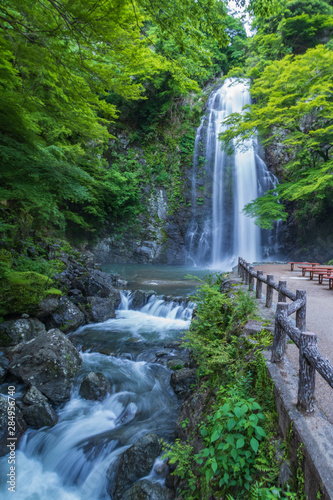 Fototapeta Naklejka Na Ścianę i Meble -   Refreshing Osaka Prefecture in Japan