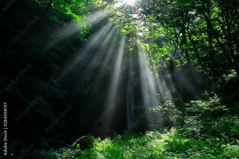 Obraz premium 夏の亀田不動滝