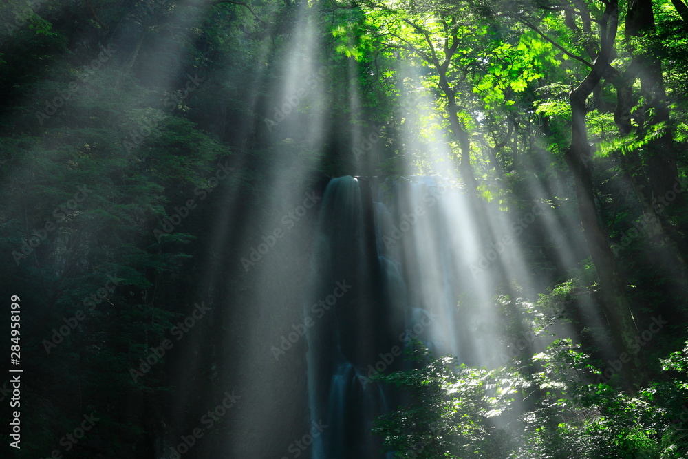 Obraz premium 夏の亀田不動滝