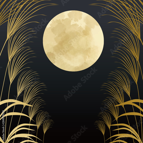 十五夜　すすき　満月　名月　9月　すすき