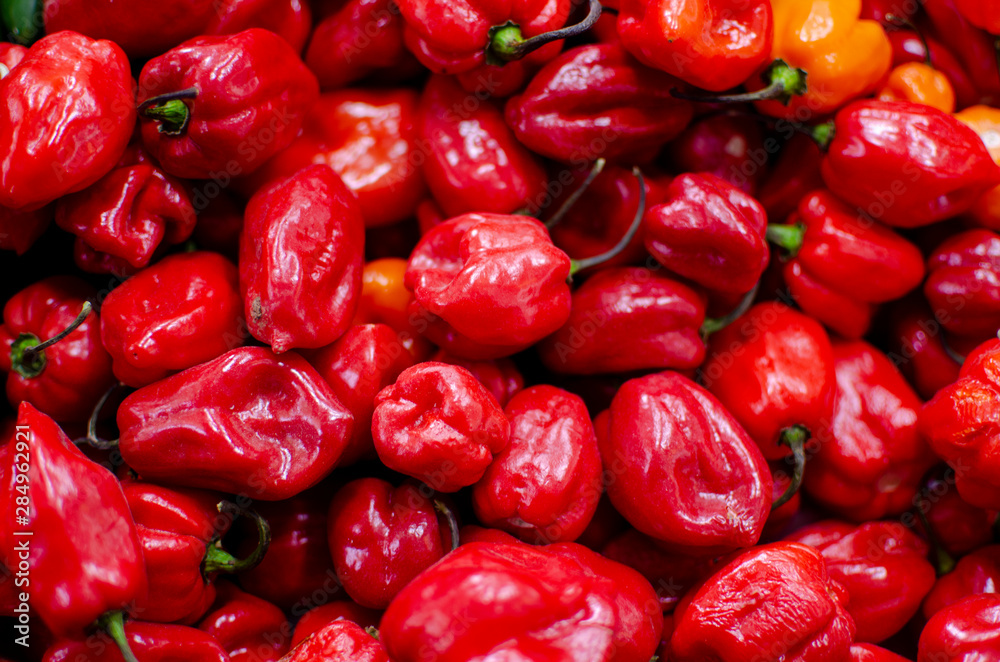 Fondo de textura de ajíes cubanos de color rojo Stock Photo | Adobe Stock