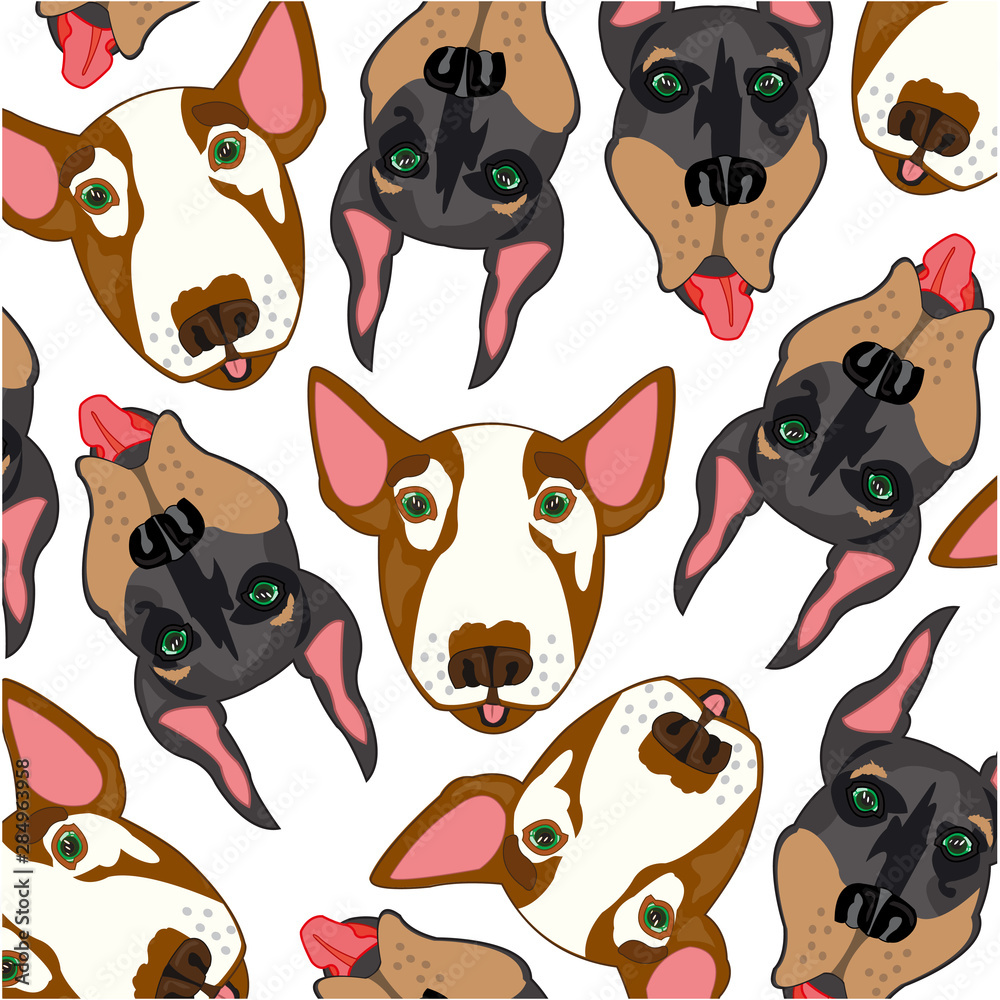 Vector illustration of the pattern of the mugs of the dogs doberman and bull terrier Vector illustration of the pattern of the mugs of the dogs doberman and bull terrier