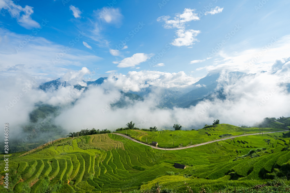 Terraced rice field landscape with low clouds in Y Ty, Bat Xat district, Lao Cai, north Vietnam