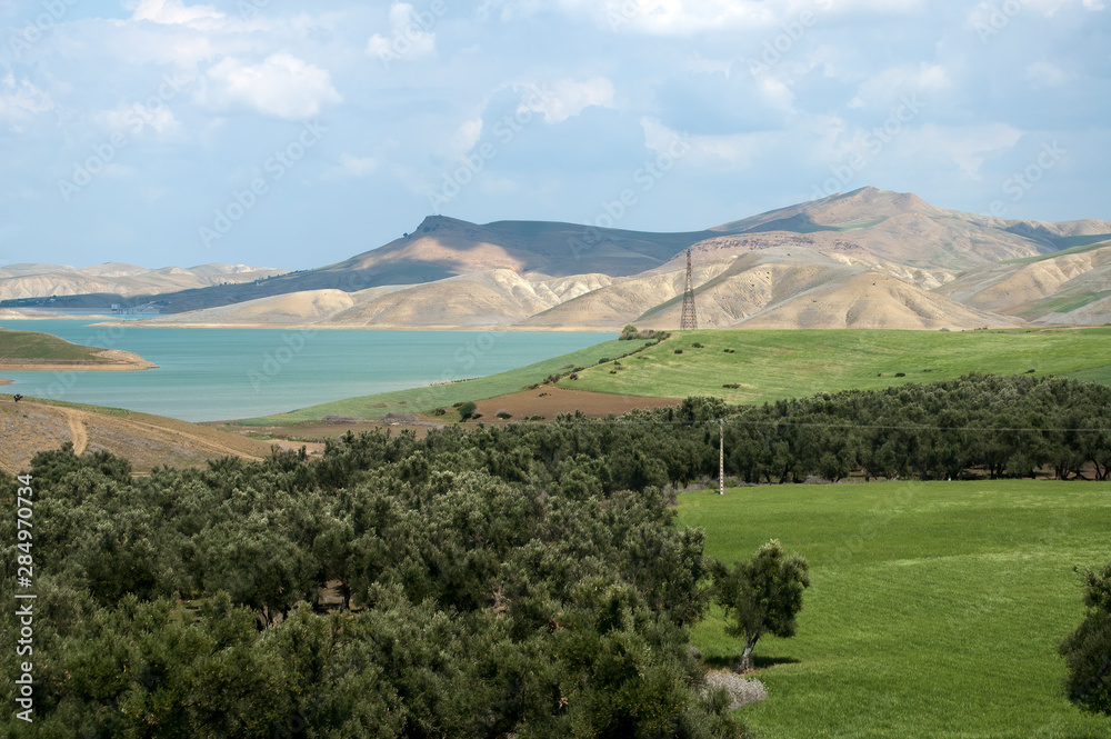 Northern Morocco, rural scene of olive grove with lake and hills in background