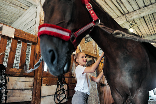 A teenage girl rider saddles a horse and puts a bridle on her.