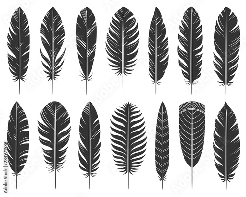 Feather quill tribal silhouette icons vector set