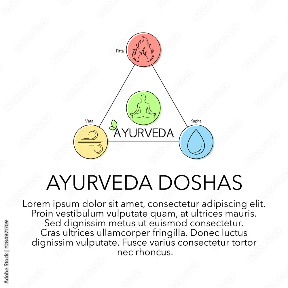 WHAT IS AYURVEDA visual data 4