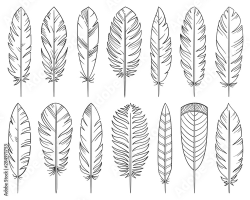 Feather quill tribal hand drawn line vector set