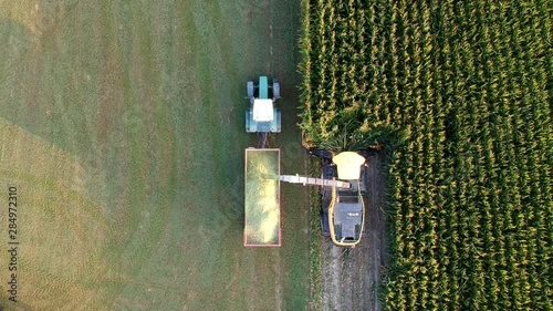 Corn harvesting for silage, tractor and combine drone shot bird view photo