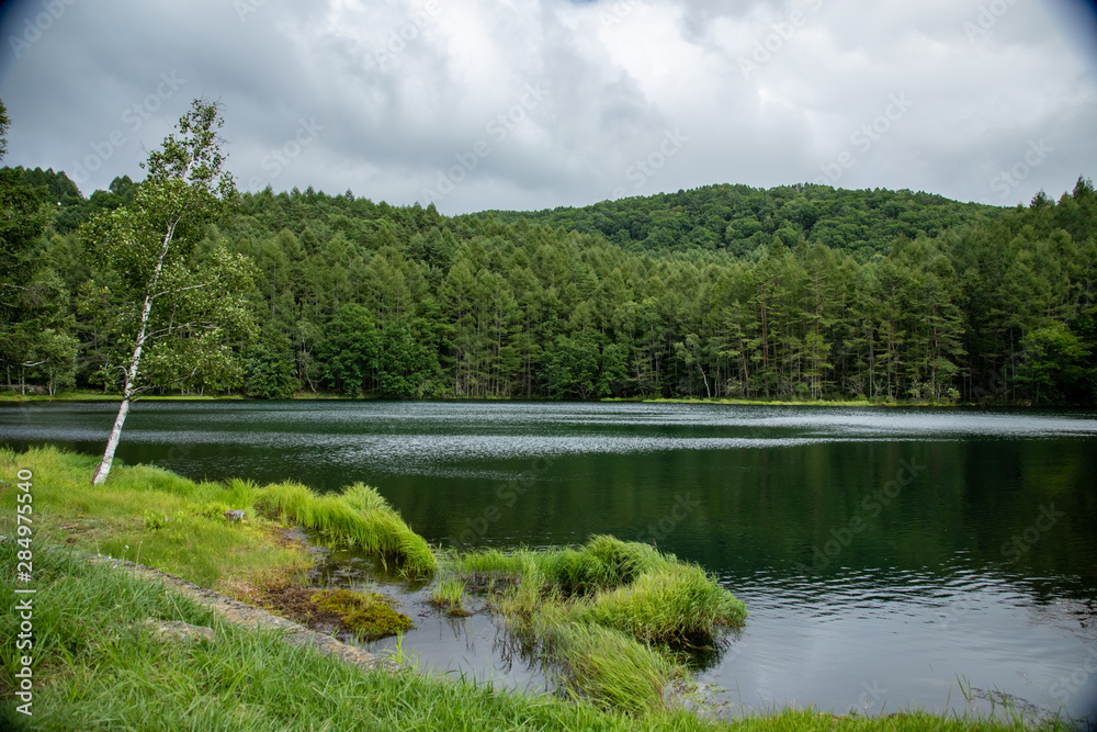 Obraz premium 信州 御射鹿池