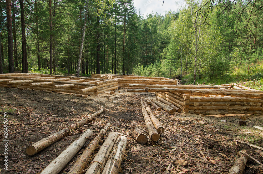 Production of log cabins on the forest plot. Production of log cabins on the forest plot.