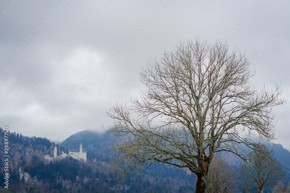 Beautiful view of world-famous Neuschwanstein Castle on the mountain in rainy day, southwest Bavaria, Germany Beautiful view of world-famous Neuschwanstein Castle on the mountain in rainy day, southwest Bavaria, Germany