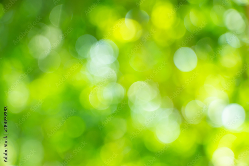 Abstract natural green circular bokeh background of tree in summer. Abstract natural green circular bokeh background of tree in summer.