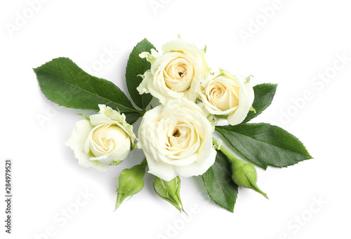 Beautiful blooming rose flowers on white background, top view