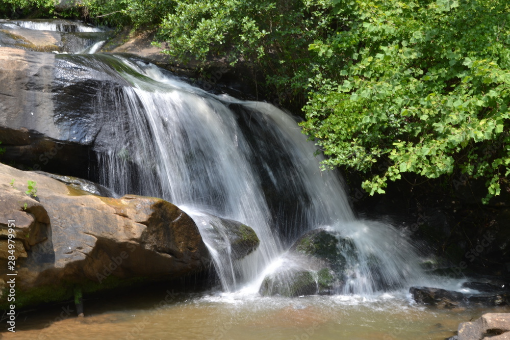 Fototapeta premium waterfall in forest