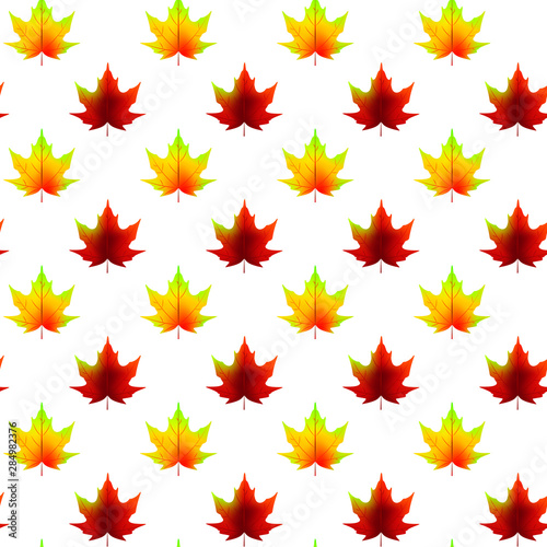 Autumn leaves seamless pattern isolated on white. Vector illustration