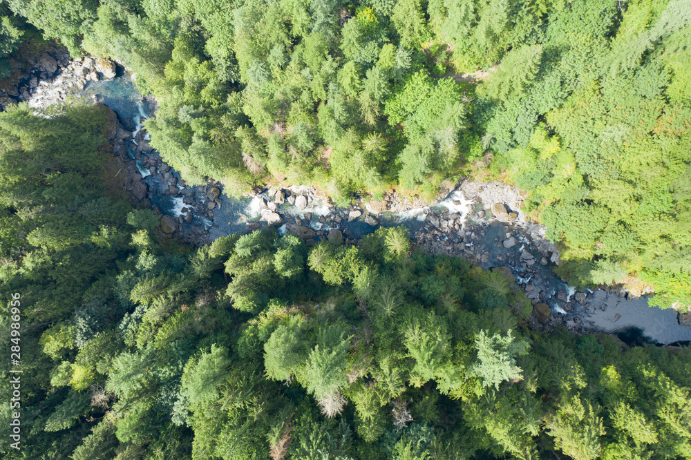 Aerial View From Above Looking Straight Down on River in Old Growth Trees