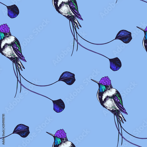 Sketch hand drawn pattern with hummingbird. Animals illustration colibri birds.